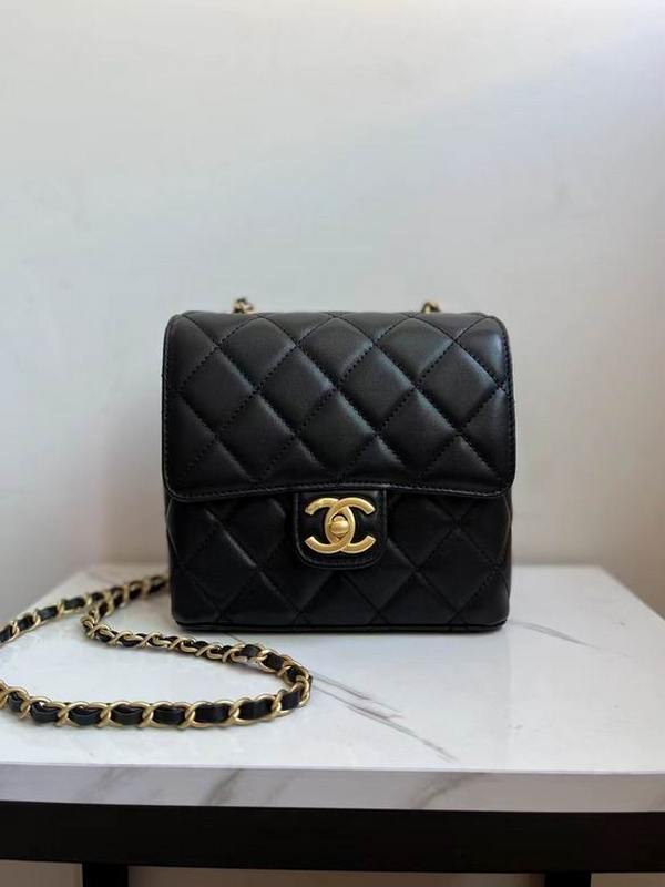 Chanel Handbags 211